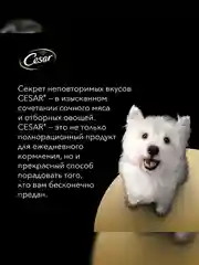Влажный корм Cesar® для взрослых собак, с курицей и зелеными овощами в соусе, 28 шт по 85г