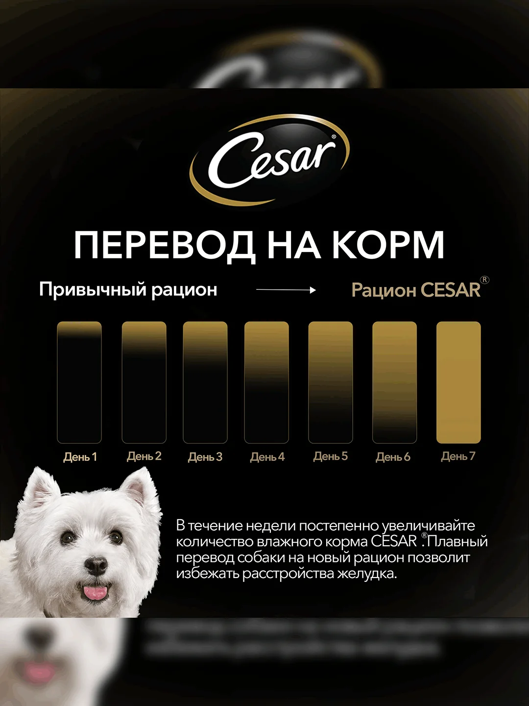 Влажный корм Cesar® для взрослых собак, с курицей и зелеными овощами в соусе, 28 шт по 85г