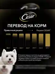 Влажный корм Cesar® для взрослых собак, с курицей и зелеными овощами в соусе, 28 шт по 85г