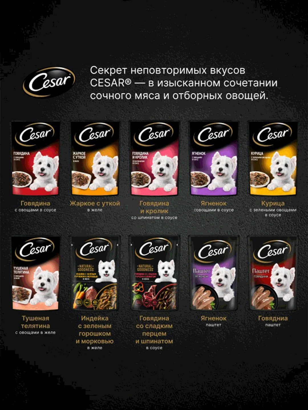 Влажный корм Cesar® для взрослых собак, с курицей и зелеными овощами в соусе, 28 шт по 85г