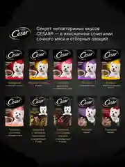 Влажный корм Cesar® для взрослых собак, с курицей и зелеными овощами в соусе, 28 шт по 85г