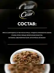 Влажный корм Cesar® для взрослых собак, с курицей и зелеными овощами в соусе, 28 шт по 85г