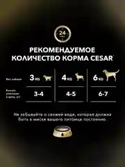 Влажный корм Cesar® для взрослых собак, жаркое с уткой в желе, 28 шт по 85г