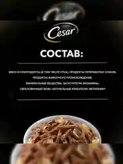 Влажный корм Cesar® для взрослых собак, жаркое с уткой в желе, 28 шт по 85г