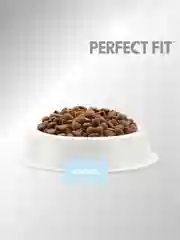 Сухой корм PERFECT FIT™ для взрослых кошек с чувствительным пищеварением, с лососем, 650г
