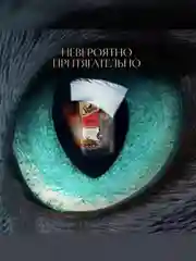 Влажный корм для кошек SHEBA® с говядиной. «Ломтики в соусе. Говядина», 28 шт по 75г
