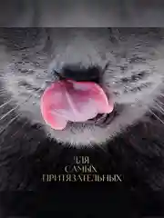 Влажный корм для кошек SHEBA® с говядиной. «Ломтики в соусе. Говядина», 28 шт по 75г