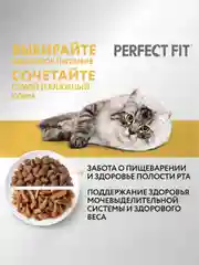 Сухой корм PERFECT FIT™ для взрослых кошек с чувствительным пищеварением, с индейкой, 10кг