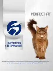Сухой корм PERFECT FIT™ для взрослых кошек с чувствительным пищеварением, с индейкой, 10кг