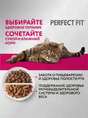 Cухой полнорационный корм PERFECT FIT™ для взрослых кошек, с говядиной, 650г