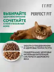 Сухой полнорационный корм PERFECT FIT™ для стерилизованных кошек, с курицей, 10кг