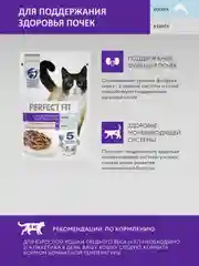 Влажный корм PERFECT FIT™ для поддержания здоровья почек, с лососем в соусе, 28 x 75г