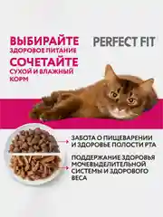 Влажный корм PERFECT FIT™ для поддержания здоровья почек, с лососем в соусе, 28 x 75г