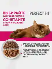 Влажный корм PERFECT FIT™ для стерилизованных кошек, с кроликом в соусе, 28 шт по 75г