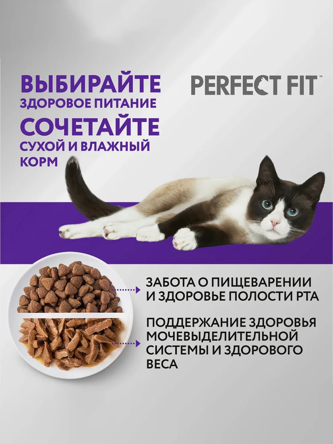 Сухой полнорационный корм PERFECT FIT™ «Здоровье почек» для взрослых кошек с лососем, 650г