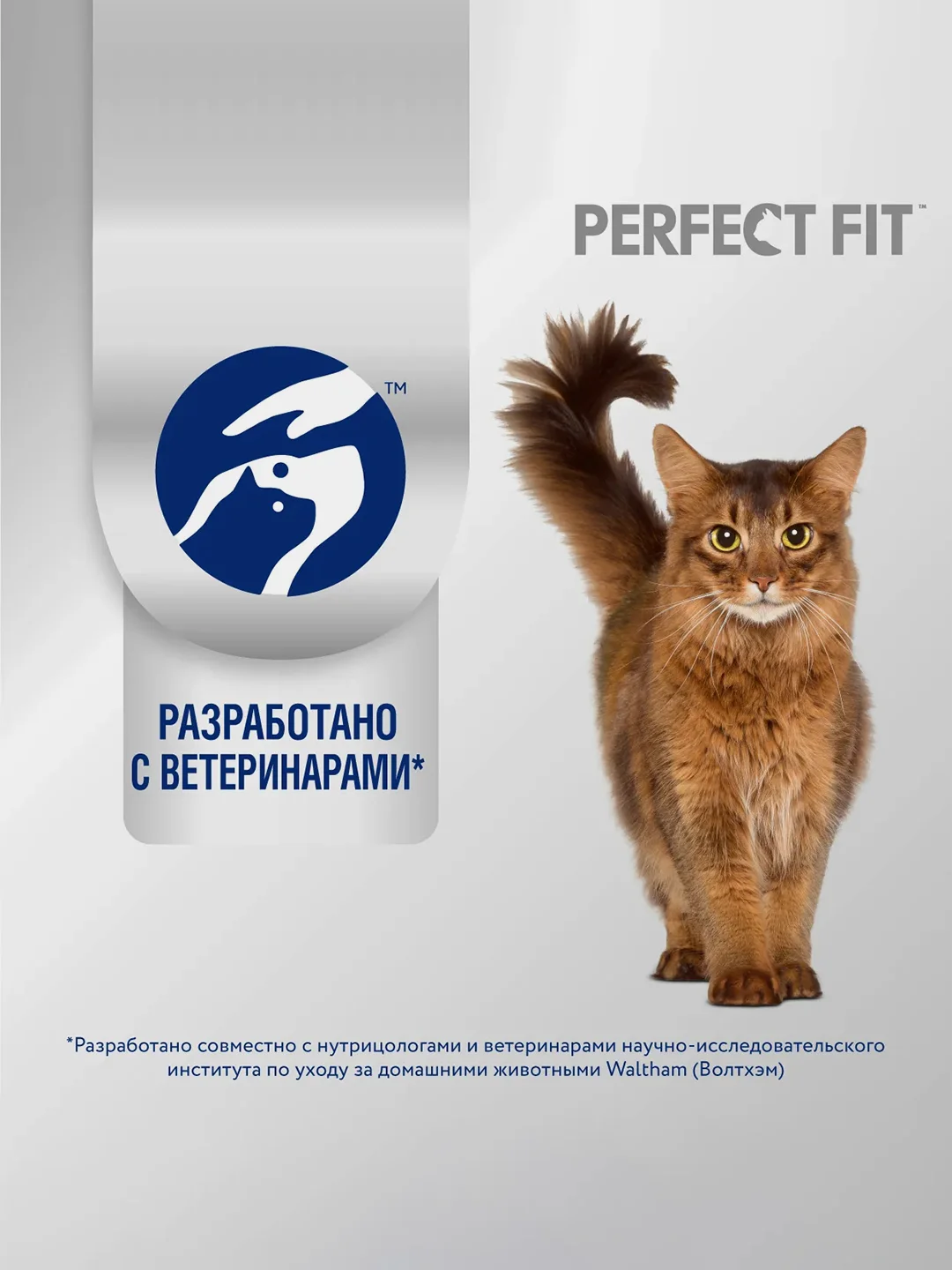 Сухой полнорационный корм PERFECT FIT™ «Здоровье почек» для взрослых кошек с лососем, 650г