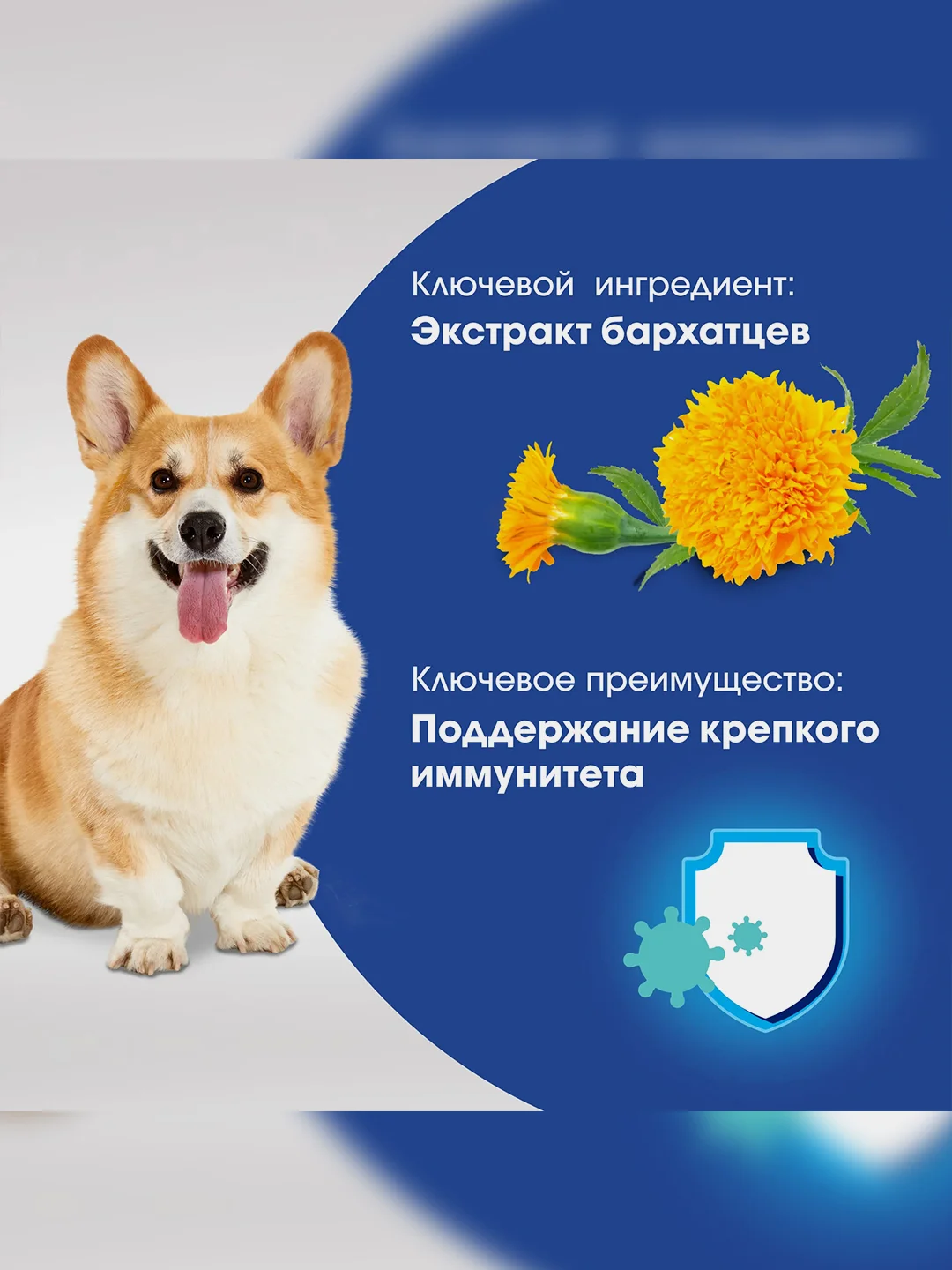 Лакомство для собак PERFECT FIT™ IMMUNITY, говядина с добавлением экстракта бархатцев, 90г