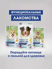 Лакомство для собак PERFECT FIT™ IMMUNITY, говядина с добавлением экстракта бархатцев, 90г