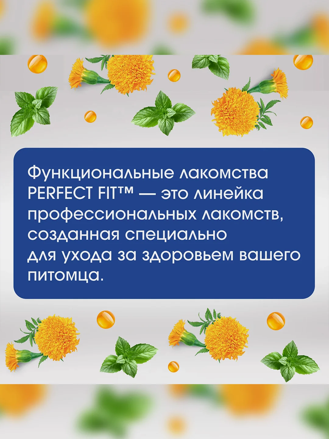 Лакомство для собак PERFECT FIT™ IMMUNITY, говядина с добавлением экстракта бархатцев, 90г