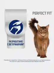 Влажный корм PERFECT FIT™ для котят от 1 до 12 месяцев, с курицей в соусе, 28 шт по 75г