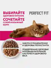 Влажный корм PERFECT FIT™ для котят от 1 до 12 месяцев, с курицей в соусе, 28 шт по 75г