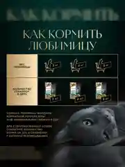 Влажный корм для кошек SHEBA Натуральная Коллекция, с лососем, горохом, морковью, 28 x 75г