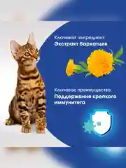 Лакомство для кошек Perfect Fit Immunity, функциональное, с курицей, 50 г