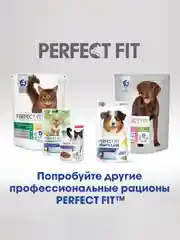 Лакомство для кошек Perfect Fit Immunity, функциональное, с курицей, 50 г