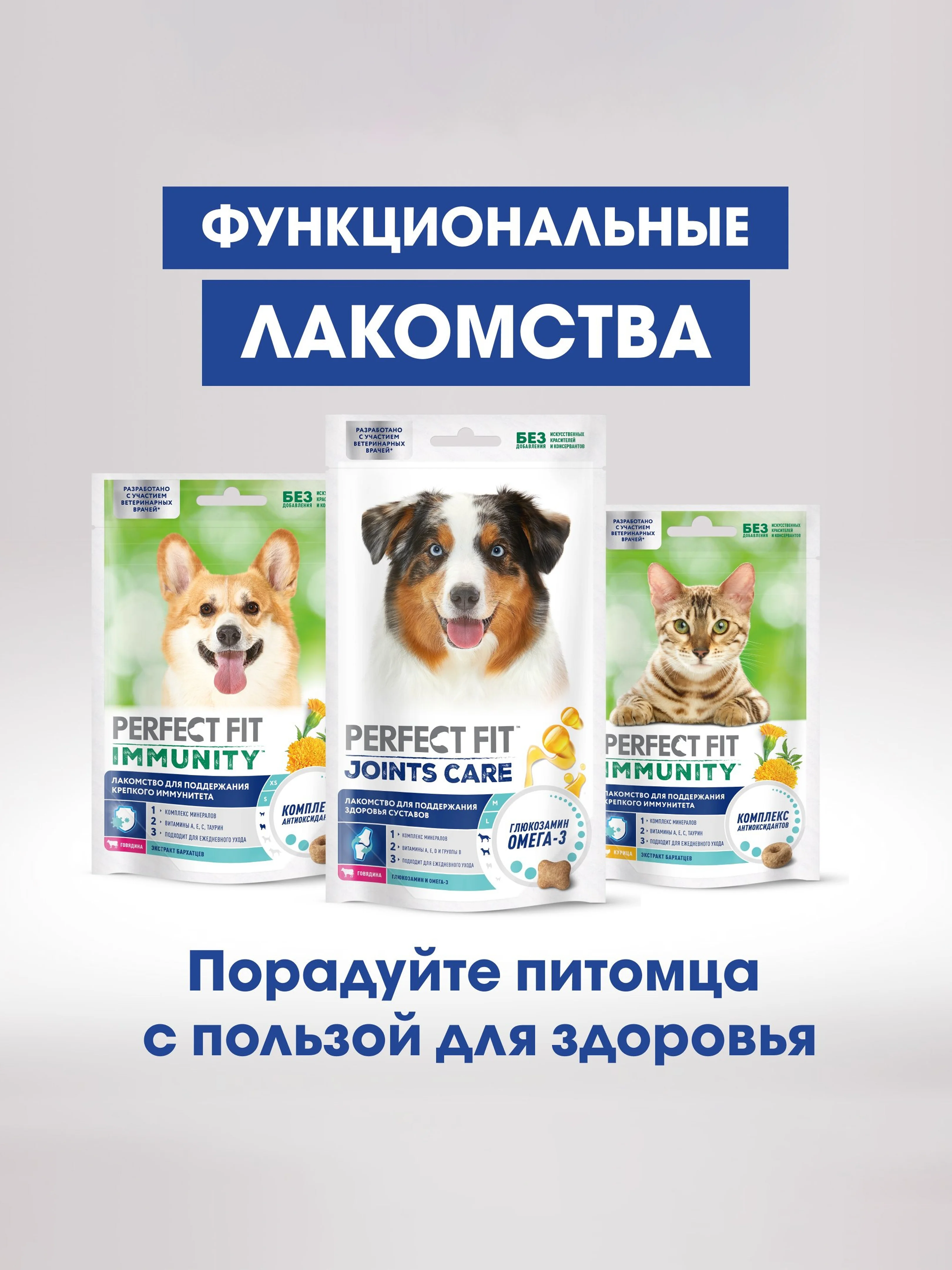 Лакомство для кошек Perfect Fit Immunity, функциональное, с курицей, 50 г