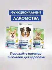 Лакомство для кошек Perfect Fit Immunity, функциональное, с курицей, 50 г