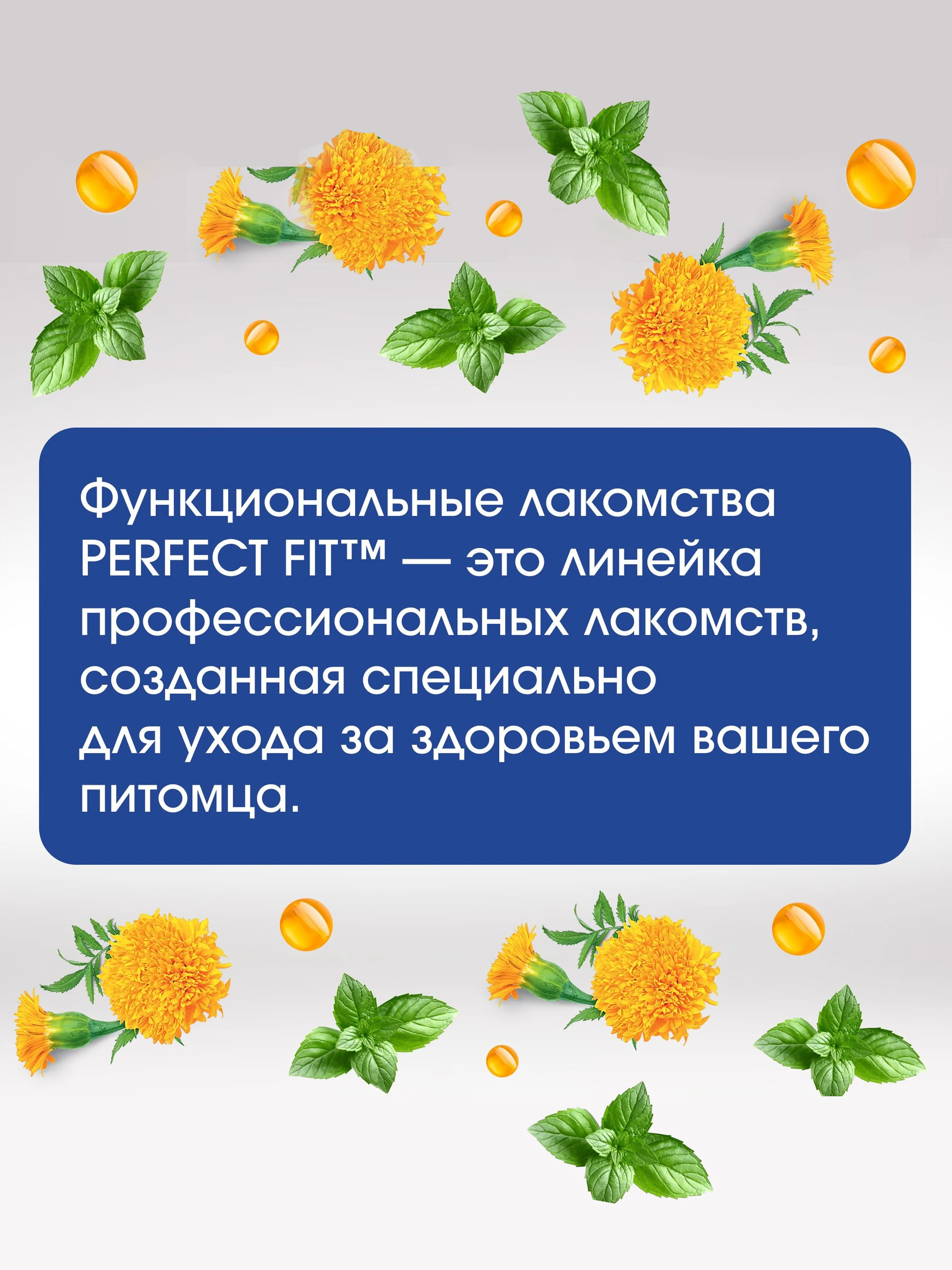 Лакомство для кошек Perfect Fit Immunity, функциональное, с курицей, 50 г