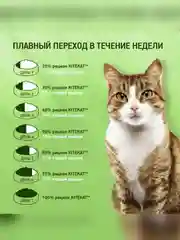 Сухой полнорационный корм KITEKAT™ для взрослых кошек «Курочка Аппетитная», 800г