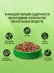 Сухой полнорационный корм KITEKAT™ для взрослых кошек «Курочка Аппетитная», 800г