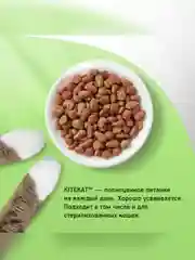 Сухой полнорационный корм KITEKAT™ для взрослых кошек «Курочка Аппетитная», 800г
