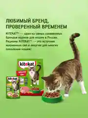 Сухой полнорационный корм KITEKAT™ для взрослых кошек «Курочка Аппетитная», 800г