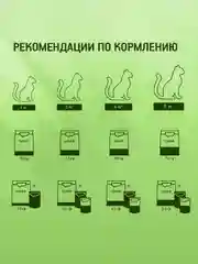 Сухой полнорационный корм KITEKAT™ для взрослых кошек «Курочка Аппетитная», 800г