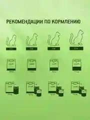 Влажный корм KITEKAT™ для кошек со вкусом говядины в желе «Сочная говядина», 28 шт по 85г