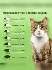 Влажный корм KITEKAT™ для кошек со вкусом говядины в желе «Сочная говядина», 28 шт по 85г