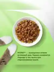 Влажный корм KITEKAT™ для кошек со вкусом говядины в желе «Сочная говядина», 28 шт по 85г