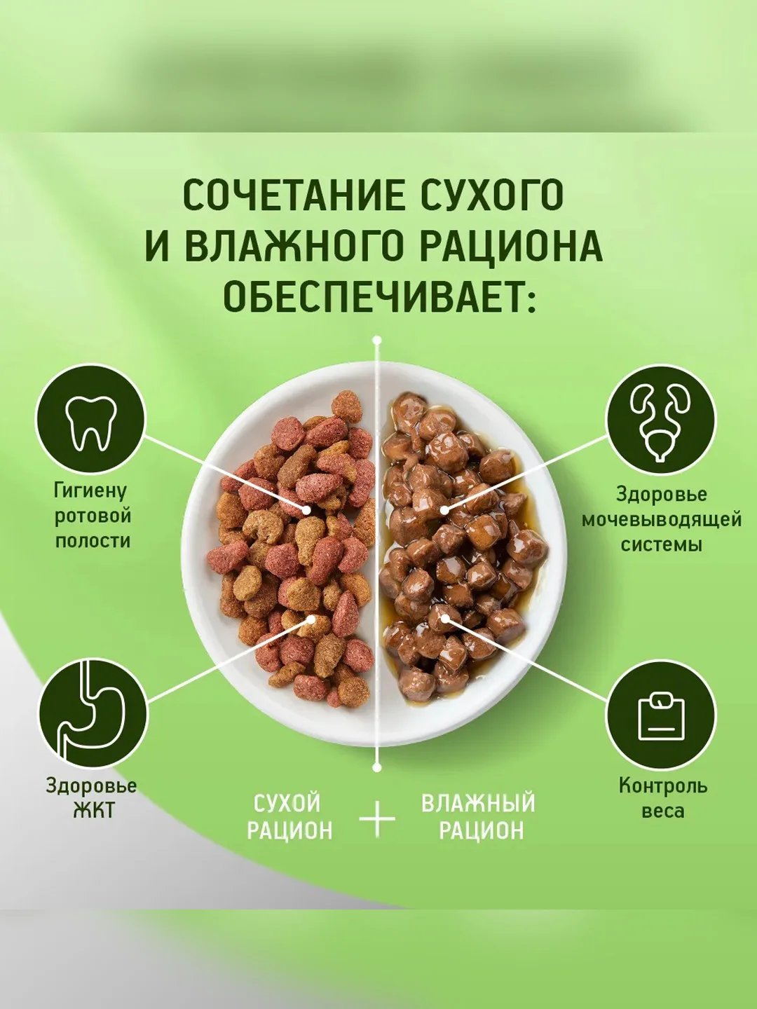 Влажный корм KITEKAT™ для кошек со вкусом говядины в желе «Сочная говядина», 28 шт по 85г