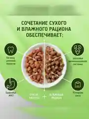 Влажный корм KITEKAT™ для кошек со вкусом говядины в желе «Сочная говядина», 28 шт по 85г