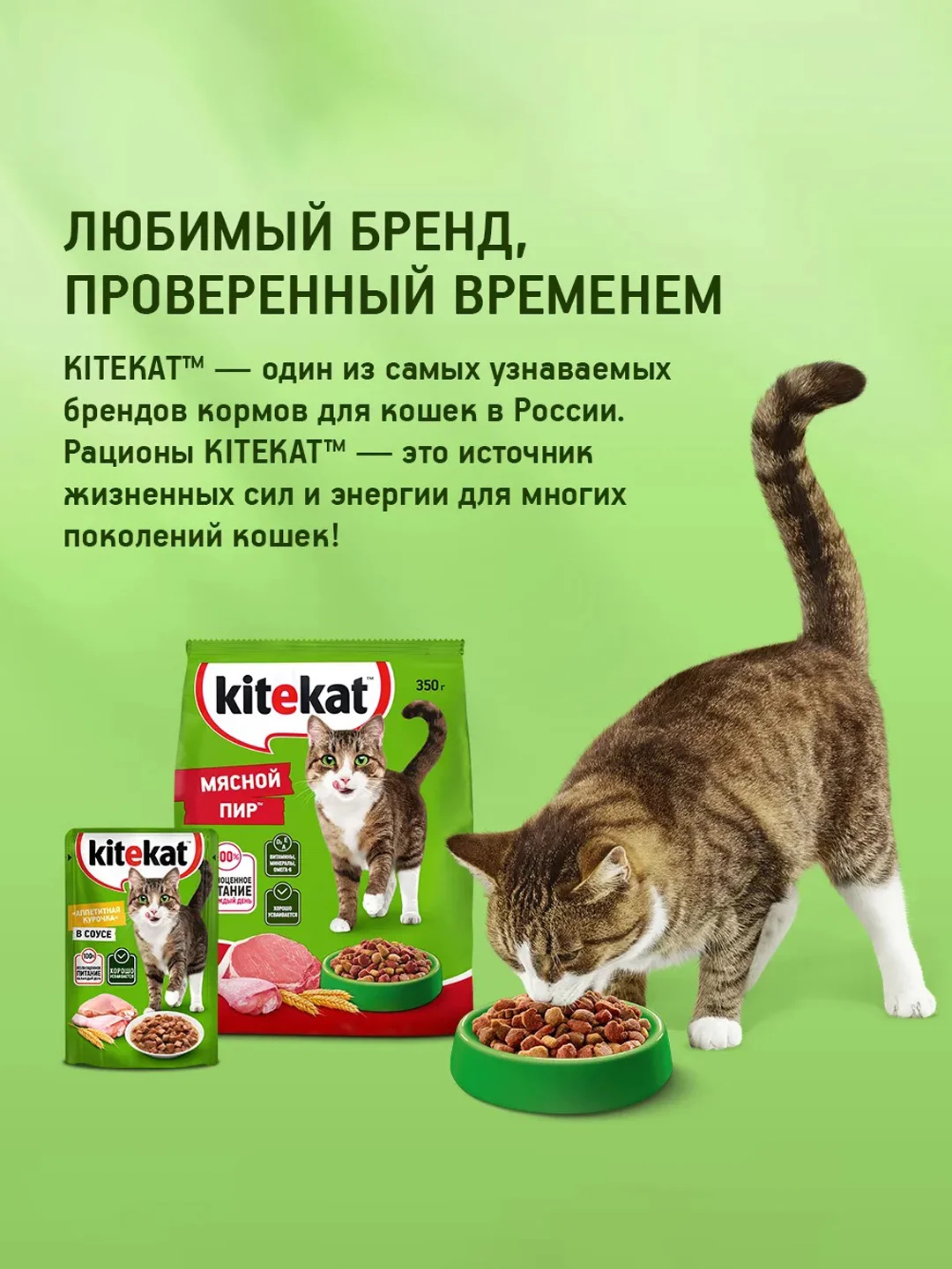Влажный корм KITEKAT™ для кошек со вкусом говядины в желе «Сочная говядина», 28 шт по 85г