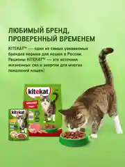 Влажный корм KITEKAT™ для кошек со вкусом говядины в желе «Сочная говядина», 28 шт по 85г