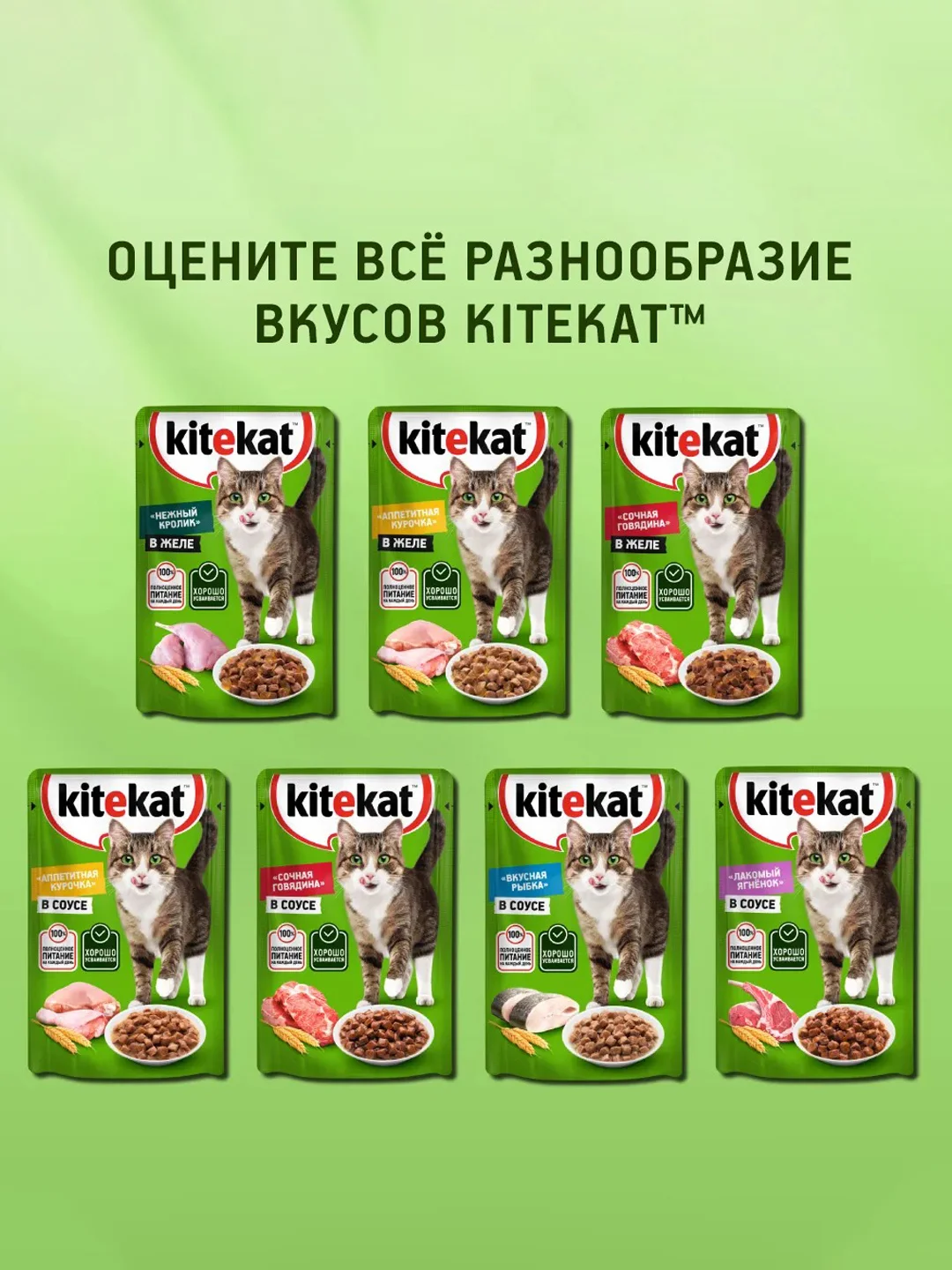 Влажный корм KITEKAT™ для кошек со вкусом говядины в желе «Сочная говядина», 28 шт по 85г