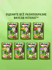 Влажный корм KITEKAT™ для кошек со вкусом говядины в желе «Сочная говядина», 28 шт по 85г
