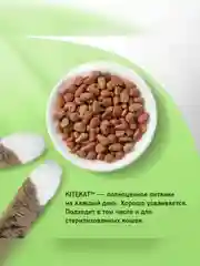 Сухой полнорационный корм KITEKAT™ для взрослых кошек «Мясной Пир», 1.9кг