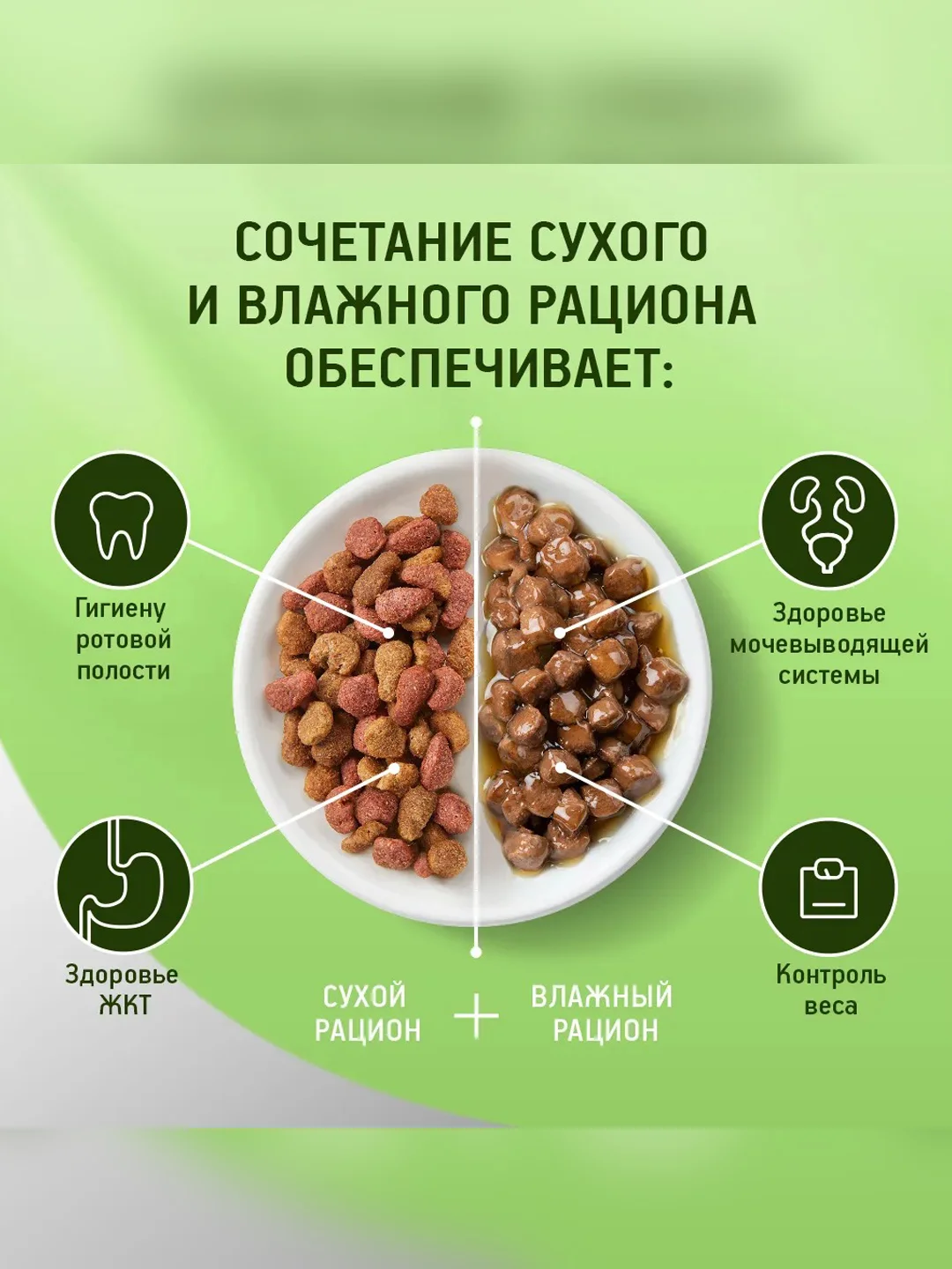 Сухой полнорационный корм KITEKAT™ для взрослых кошек «Мясной Пир», 1.9кг