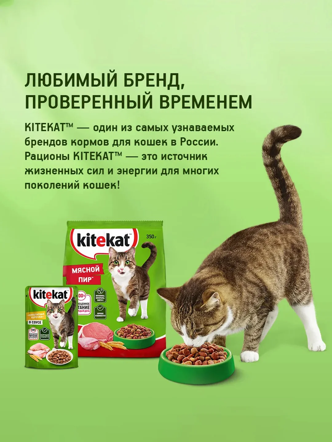 Сухой полнорационный корм KITEKAT™ для взрослых кошек «Мясной Пир», 1.9кг