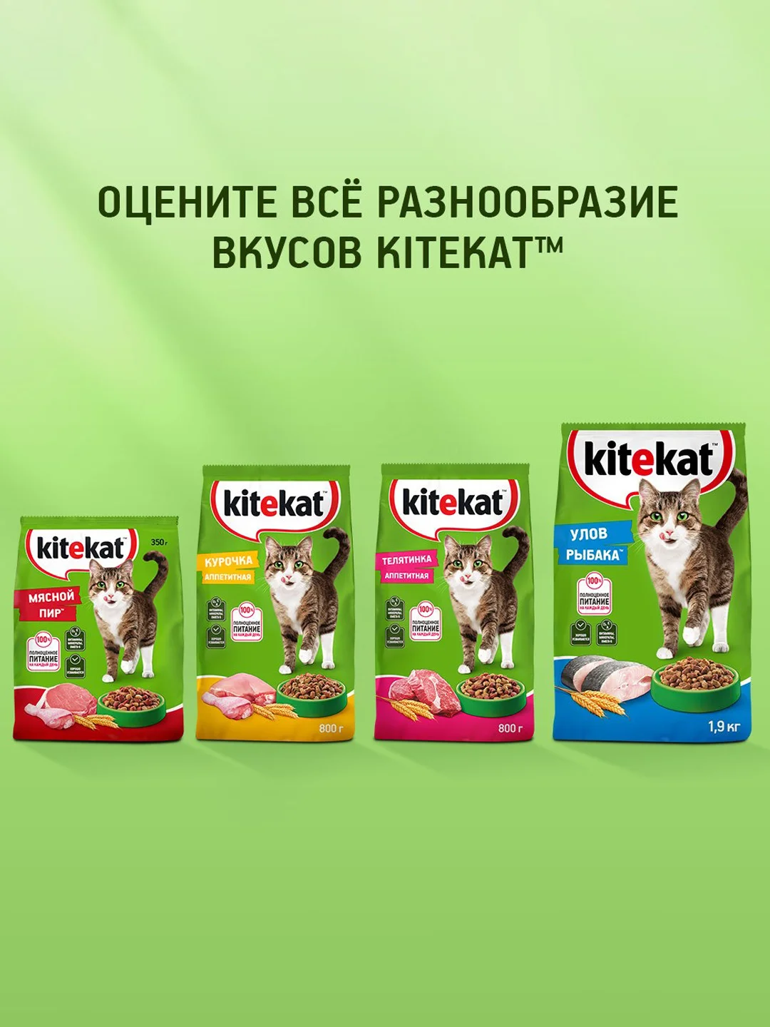 Сухой полнорационный корм KITEKAT™ для взрослых кошек «Мясной Пир», 800г