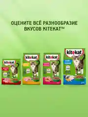 Сухой полнорационный корм KITEKAT™ для взрослых кошек «Мясной Пир», 800г